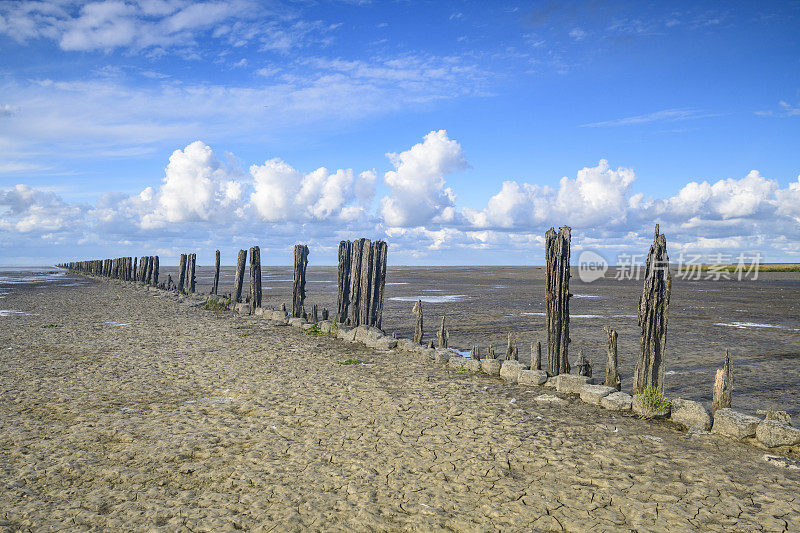 在荷兰北部的瓦登海自然保护区“de Wadden”中，古老的土地开垦柱在空旷的景观中排成一排